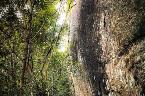 Kandy: Hidden Cave Temple Forest Hike & Lake View Summit