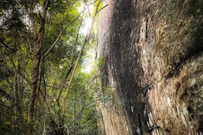 Kandy: Hidden Cave Temple Forest Hike & Lake View Summit