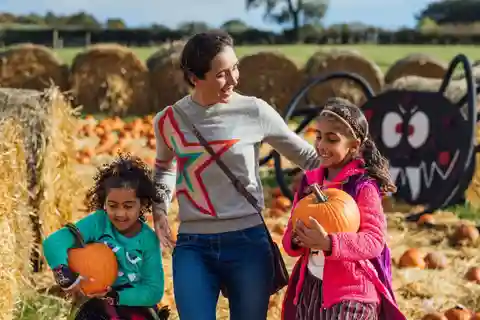 Hounslow: Pumpkin Patch Plus inträde till Hobbledown Heath