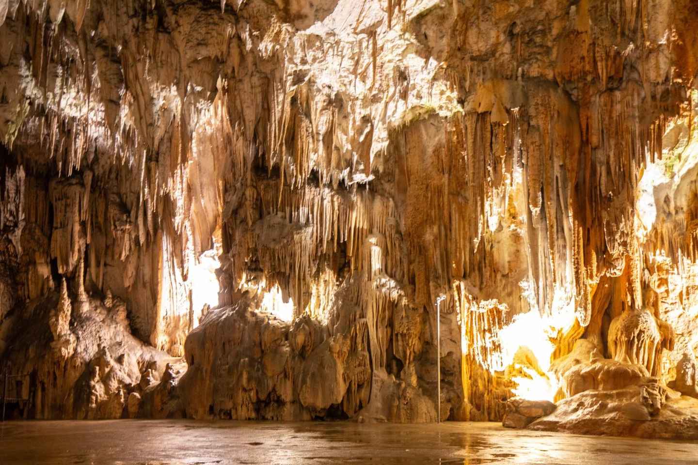 Koper: Postojna Cave and Predjama Castle Tour and Tickets