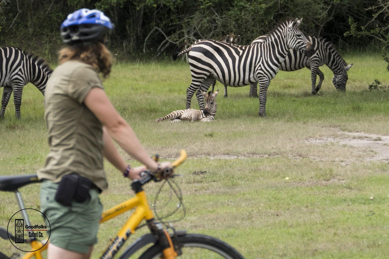 UGANDA EXOTIC SAFARI — BUSH CAMP RETREAT | 4-Day Luxury