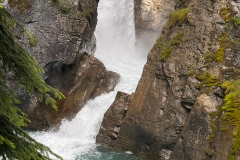 Moraine, Lake Louise, Emerald Lake, Johnston Canyon i BanffTour