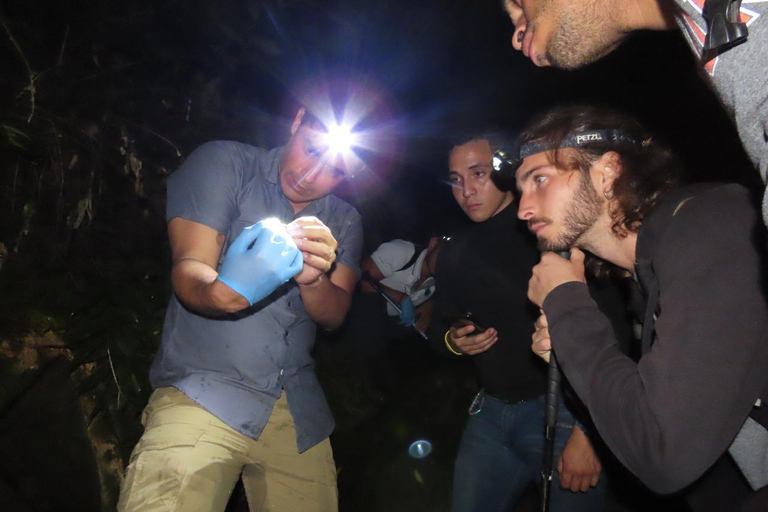 Panamá; San Blas Dos días en la selva todo incluido