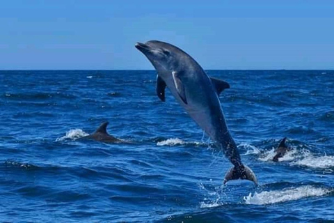 Excursión a la isla Wasini