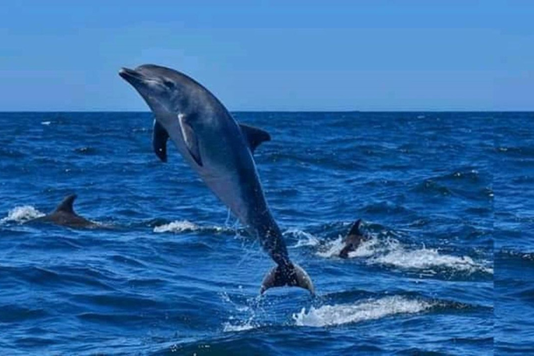 Excursión a la isla Wasini