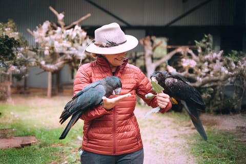 Perth: Kaarakin Black Cockatoo Conservation Tour & Hike - Image 2
