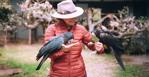 Perth: Kaarakin Black Cockatoo Conservation Tour & Hike