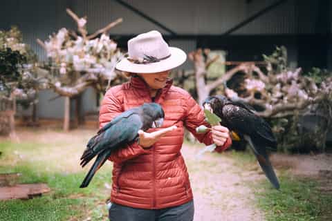 Perth: Kaarakin Black Cockatoo Conservation Tour & Hike - Image 3