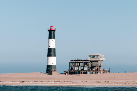 Walvis Bay: Marine Cruise with Beach Lunch