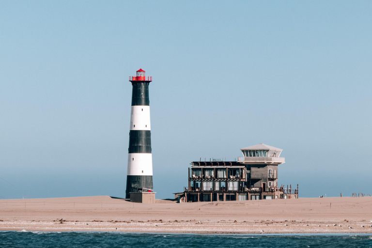 Walvis Bay: Marine Cruise with Beach Lunch