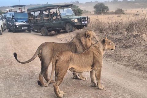Nairobi National Park Ochtend- of avond gamedrive-tour