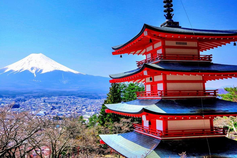 Tour privato di 4 giorni MT Fuji, Nikko, Hakone e TokyoTour privato di 4 giorni MT Fuji Nikko Hakone tokyo