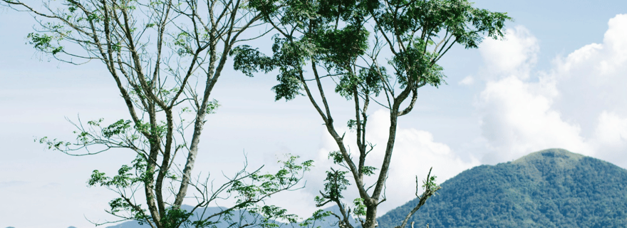 La DMZ et les histoires cachées de la guerre - Visite d'une jounée au départ de Hué