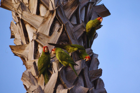 Private Kayaking Adventure: a 2-hour Wildlife Escape Self-Guided Kayaking Adventure: a 2-hour Wildlife Escape