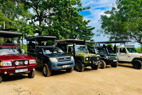 Yala, Udawalawe Safari &amp; Elephant Home Esperienza di vitaYALA Safari, Casa dell'elefante Esperienza di vita