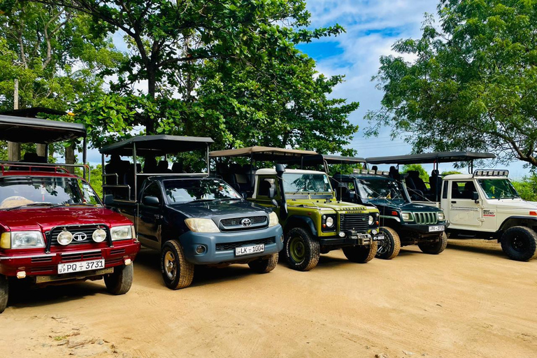 Yala, Udawalawe Safari &amp; Elephant Home Esperienza di vitaYALA Safari, Casa dell'elefante Esperienza di vita