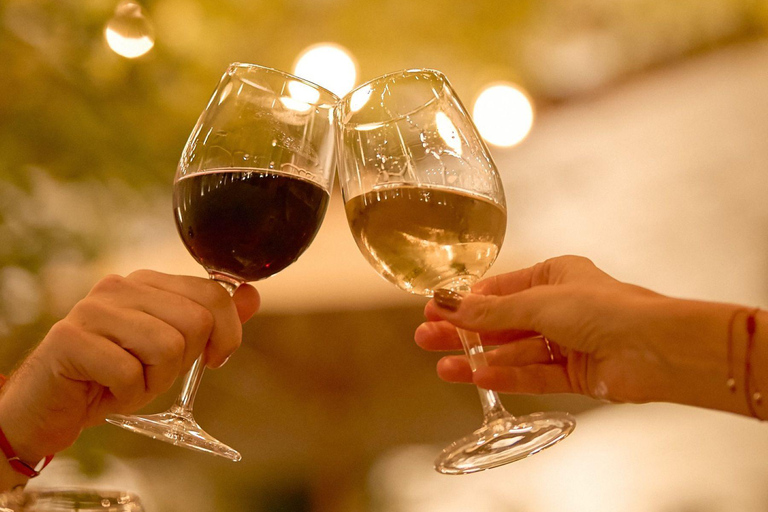 夜间巴士观光：布宜诺斯艾利斯的神话和传说