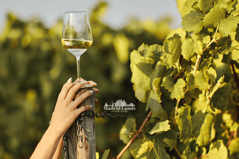 Madrid: Luxuriöse Winnery &amp; Toledo Tour