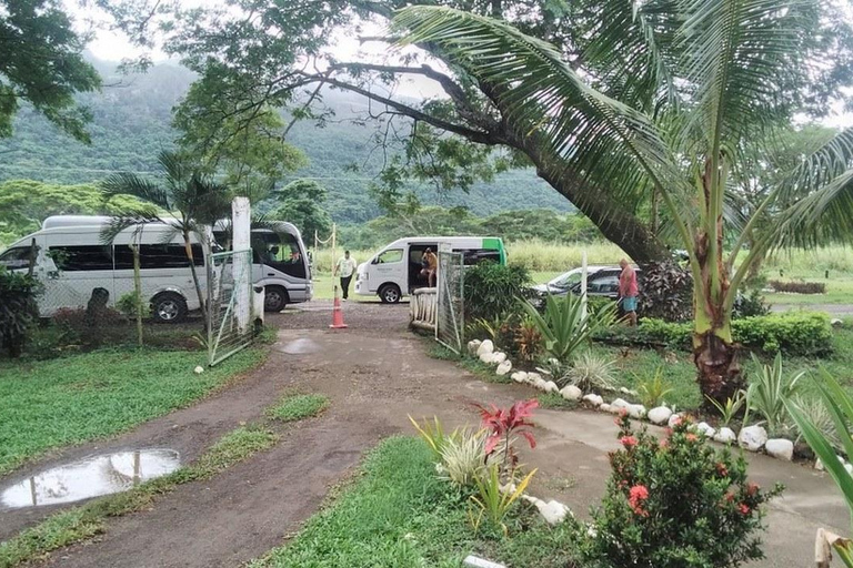 Ogród Śpiącego Olbrzyma z wycieczką do gorących źródeł Tifajek MudpoolHotele w Nadi / Port Denarau / Double Tree / Odbiór z Vuda