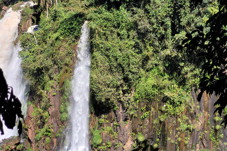 Tour privado de un día por las cataratas de Iguazú: Ambos lados, ¡el mismo día!