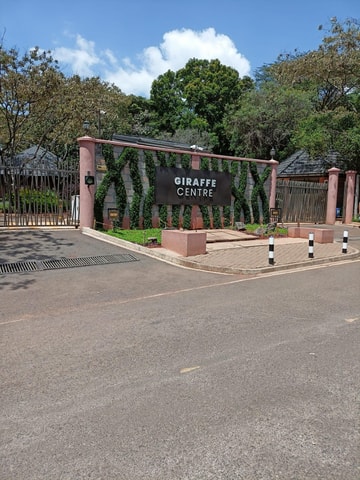 Day Tour to Giraffe Center and Karen Blixen Museum