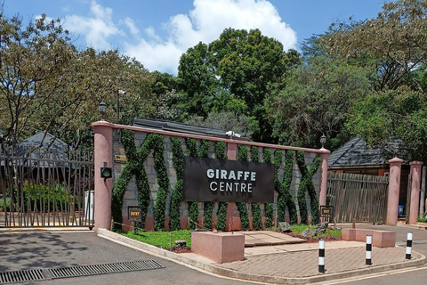 Giraffe Center, Elephant Orphanage And Bomas Of Kenya Visit