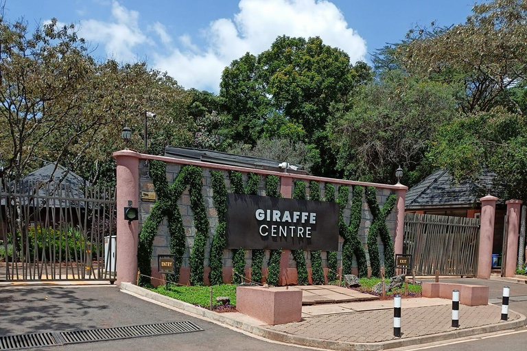 Tour di un giorno al Centro delle Giraffe, al Baby Elephant e al Parco di Nairobi