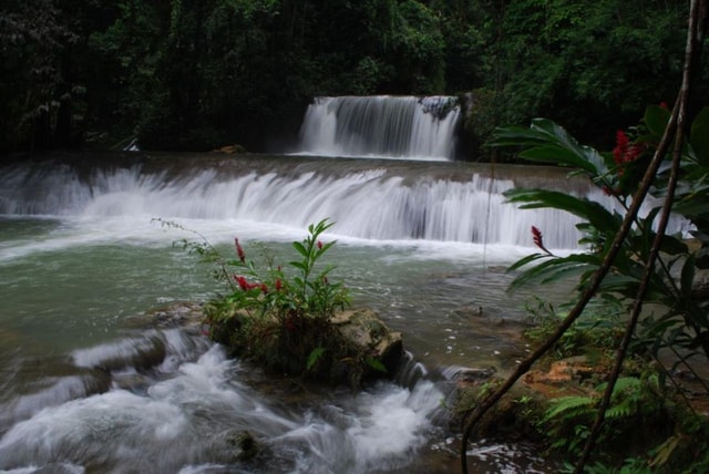 Montego Bay/Negril: Appleton Rum Experience & YS Falls Climb