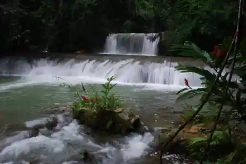 Montego Bay/Negril: Appleton Rum Experience & YS Falls Climb