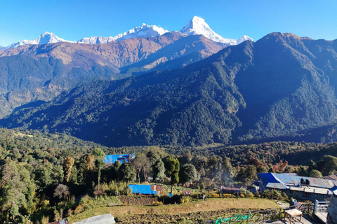 Pokhara: 5-Day Ghorepani Poon Hill Trek