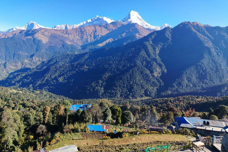 Pokhara: 5-Day Ghorepani Poon Hill Trek