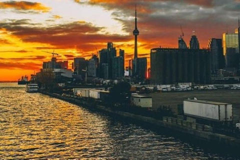 Toronto : visite guidée de l&#039;art de la rue avec un guide