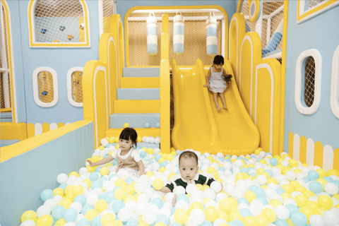 Hanoi: Dolphin 5-Star Family Cruise & Buffet in Ha Long Bay With Pick-up and Drop-off