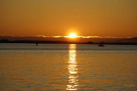 British Columbia: Whale Watching Öko-Abenteuertour