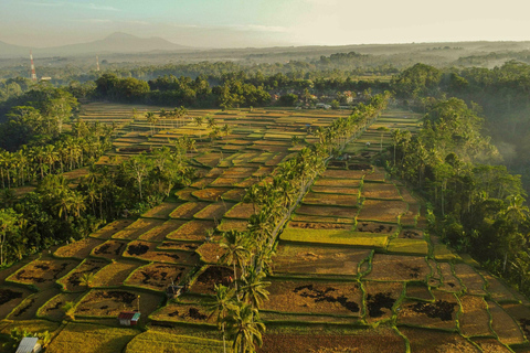 Bali: Macingan Rice Terraces, Village & Waterfall Tour