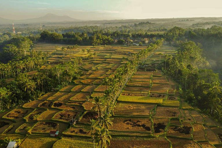Bali: Macingan Rice Terraces, Village &amp; Waterfall Tour