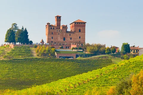 Fra Milano: Langhe vinregion dagsudflugt med Barolo smagning