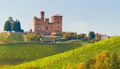 Von Mailand aus: Tagestour durch die Weinregion Langhe mit ...