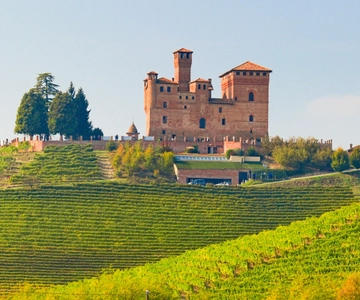 Vanuit Milaan: Dagtrip wijnstreek Langhe met Barolo proeverij