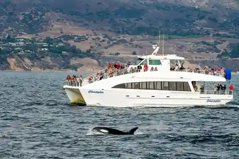 Los Angeles: Cruises & boat tours