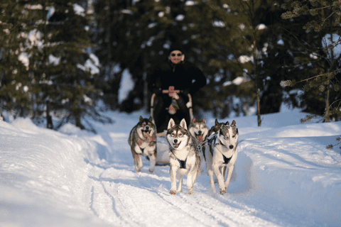 Ruka: 5 km Husky-Safari mit Mittagessen