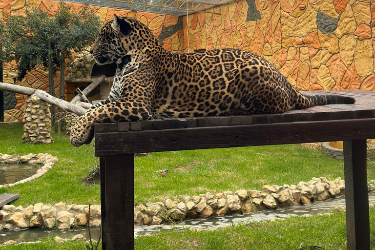 From Bogota: Jaime Duque Park and zoo with ticket included