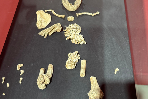 Addis Abeba: Wycieczka na górę Entoto z pakietem spa