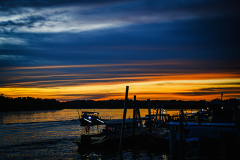 From Kuala Lumpur: Kuala Selangor Firefly Cruise & Dinner