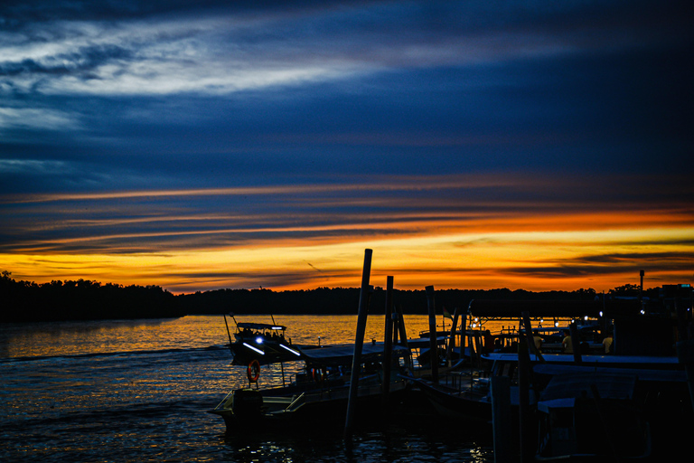 From Kuala Lumpur: Kuala Selangor Firefly Cruise & Dinner