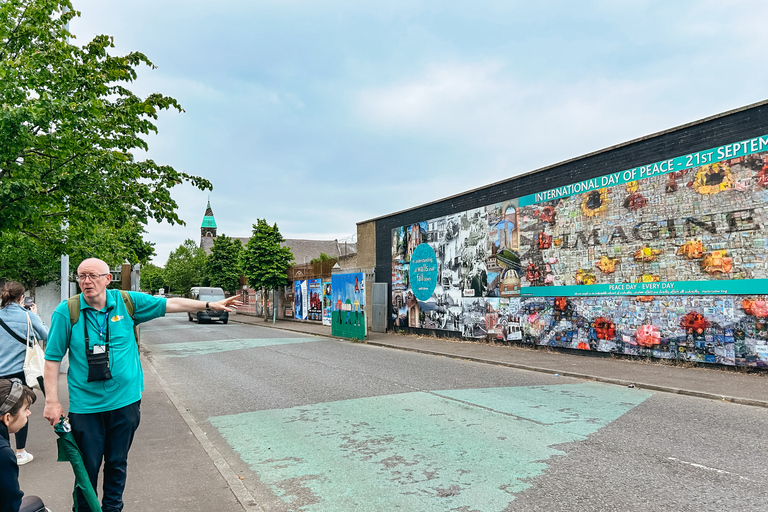 Belfast: tour guidato a piedi della storia dei Troubles