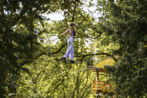 Windermere: Treetop Course (Full Trek)