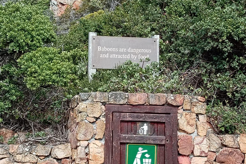 Cape town:Cape of good hope afternoon tour/penguins