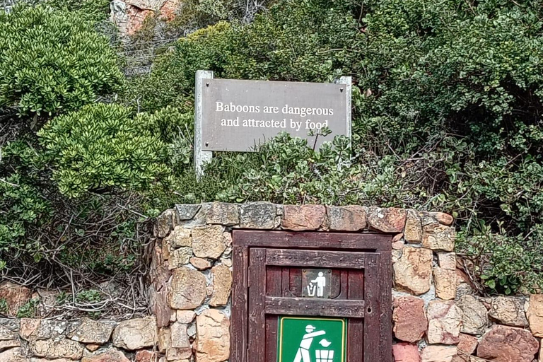 Cape town:Cape of good hope afternoon tour/penguins