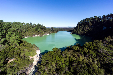 Auckland: Tour culturale e geotermale di Rotorua Māori e pranzoAuckland: Tour culturale e geotermico di Rotorua Māori e pranzo